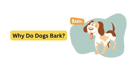 CodeHS Dogs Bark 的图像结果