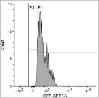 Intracellular Reactive Oxygen Species (ROS) Detection Assay Kit | Tokyo ...
