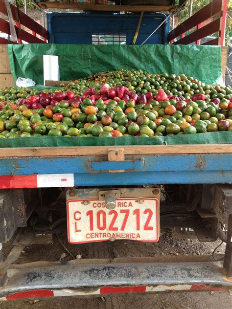 Crocker Park Restaurants Wild Mango