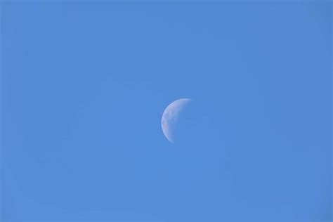 Image result for Light Blue Solid Color Background