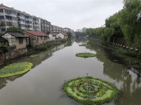 嘉兴港区环城河成功创建2020年市级“美丽河湖” 助力美丽城镇环境美——浙江在线