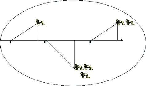 Image result for Ecological Sampling Using a Line Transect
