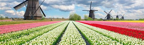 Holiday Accommodation & Lettings in the Netherlands from ₹5,173 | HomeToGo