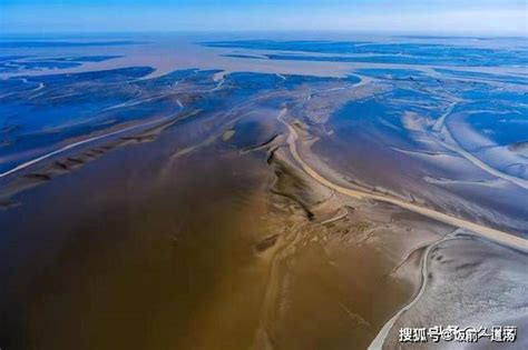 滩涂魅影|文章|中国国家地理网