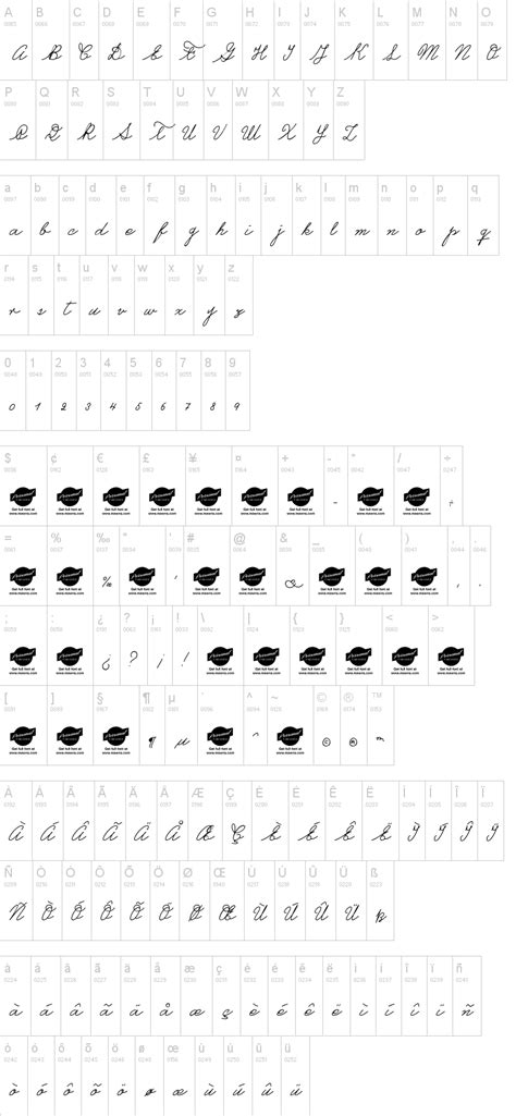 Image result for Castro Script Font