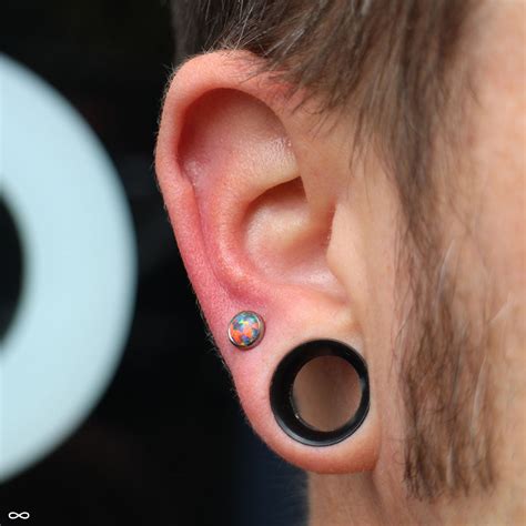 Ring Piercing Earlobe at Arthur Snipes blog