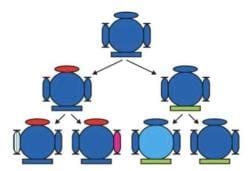 Cheat Sheet Heredity - Science Class 10 PDF Download