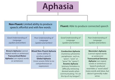 Severe Aphasia Example 的图像结果