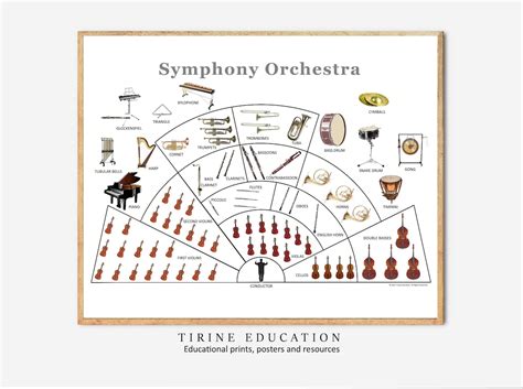 Image result for Orchestra Sections