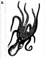 Match the columns I, II and III and choose the correct combination from ...