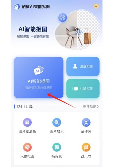 Ai 抠图换背景 的图像结果