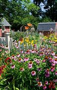 Image result for Sunny Flower Garden