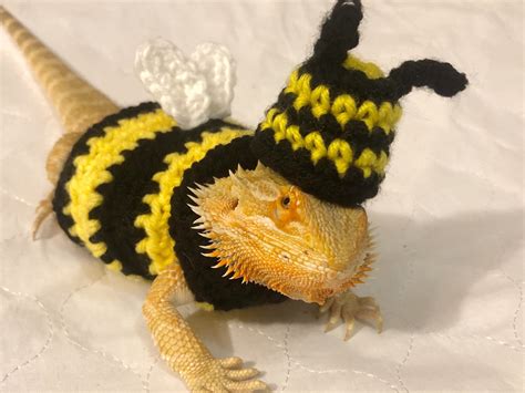 Crocheted Adult Bee Bearded Dragon Costume Bearded Dragon - Etsy Australia