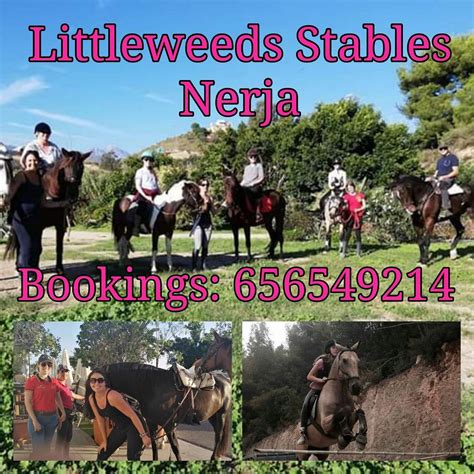 LITTLEWEEDS STABLES (2026) All You Need to Know BEFORE You Go (with ...