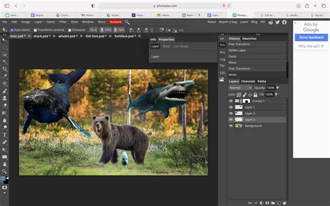 Image result for Photopea Tutorial Beginner