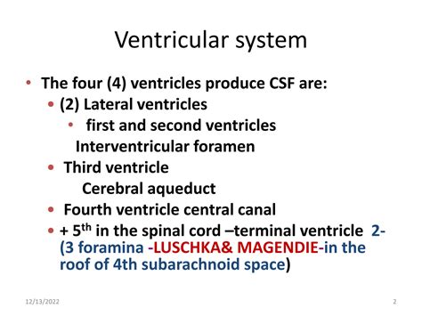 CSF Ventricular System 的图像结果