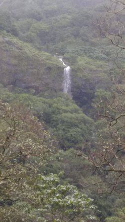 Tamhini Ghat (Pune) - 2018 What to Know Before You Go (with Photos ...