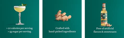 Jade Forest Premium Ginger Ale 250 ML Pack of 6 – Low Calorie Sparkling ...