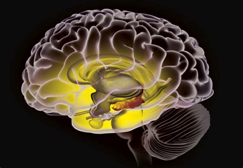 This diet can significantly reduce your risk of dementia – and you may already have the ...
