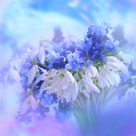 Blue And White Flowers Wallpaper