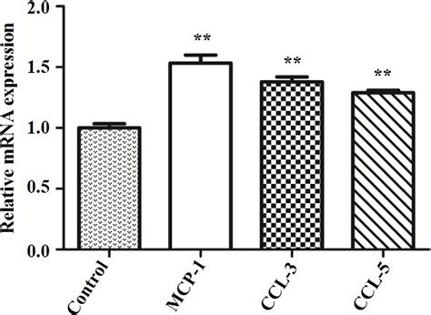 Frontiers | Selenomethionine Suppressed TLR4/NF-κB Pathway by Activating Selenoprotein S to ...
