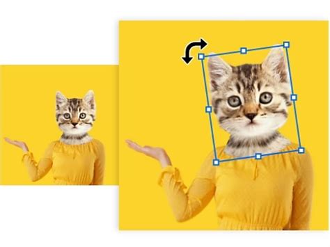 Image result for Auto Rotate Over Layer