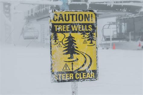 Tree Well Sign 的图像结果