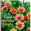Image result for Smile Good Morning Flowers