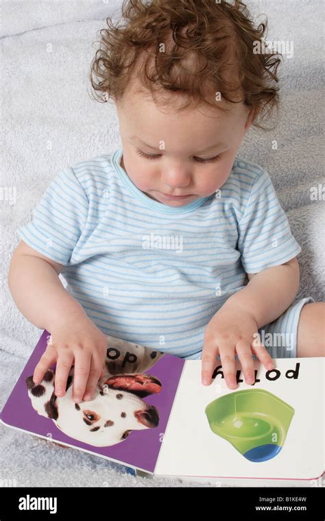 Image result for Baby Read Java Book