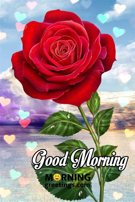 51 Good Morning Wishes With Rose - Morning Greetings – Morning Quotes ...