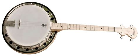 Image result for 4 String Banjo Tune