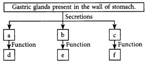 Life Processes Class 10 SuccessCDs 的图像结果
