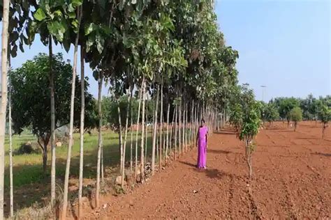 Mahatma Gandhi NREGA