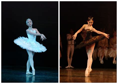 Swan Lake Characters