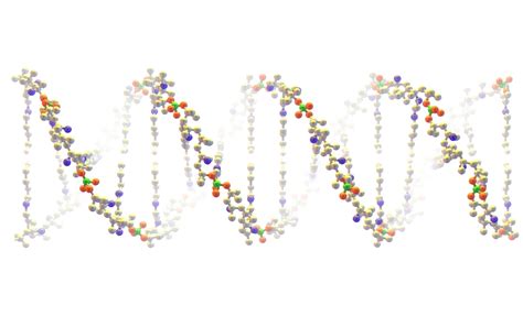 GenomeIndia maps 44 million previously unknown genetic variants