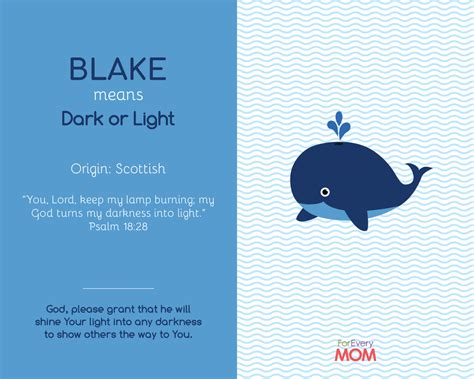 What Does Blake Mean In The Bible - Bible Wisdom Hub
