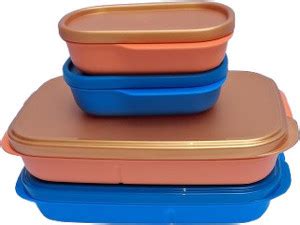 Flipkart.com | TUPPERWARE Plastic my lunch box 590ml each set of 2 2 ...