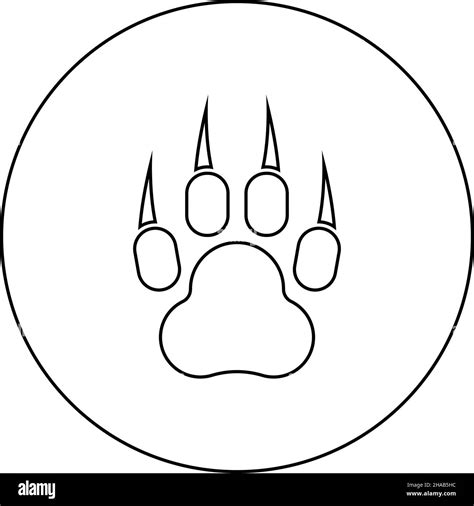 Paw Print Outline