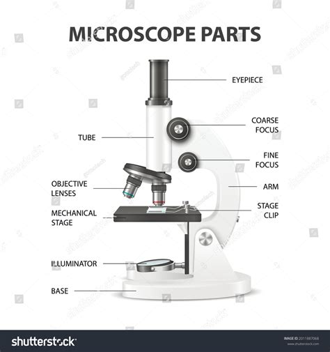 Microscope Labeled Parts 的图像结果