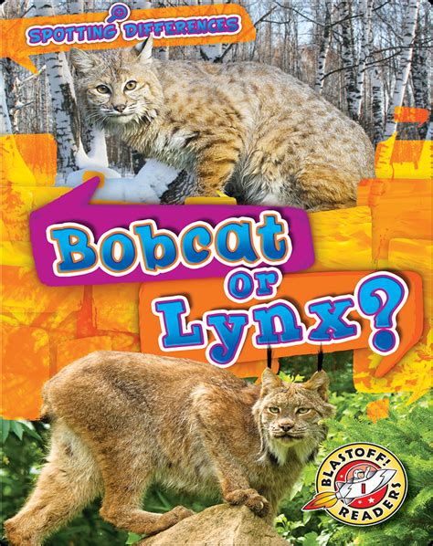 Spotting Differences: Bobcat or Lynx? Book by Mari Schuh | Epic