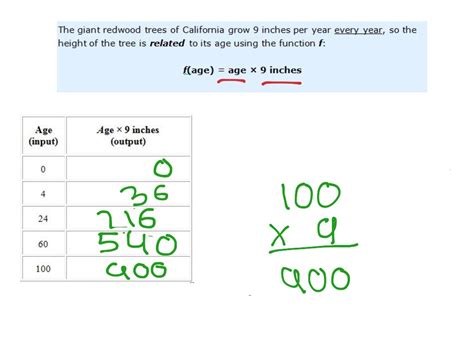 Image result for Math KnowledgeTree