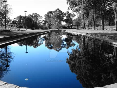 Image result for DIY Reflection Pool