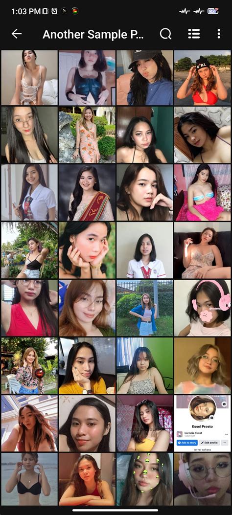 SALE TELEGRAM GROUP, ALL Pinay Rare private contents with massive updates, Megalink ,Unli ...