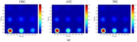 Compensation-Based Full-Filed Thermal Homogenization for Contrast ...