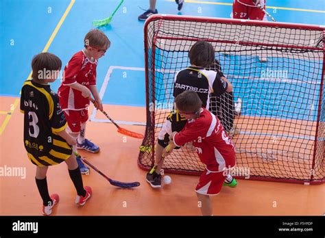 Floor Hockey 的图像结果