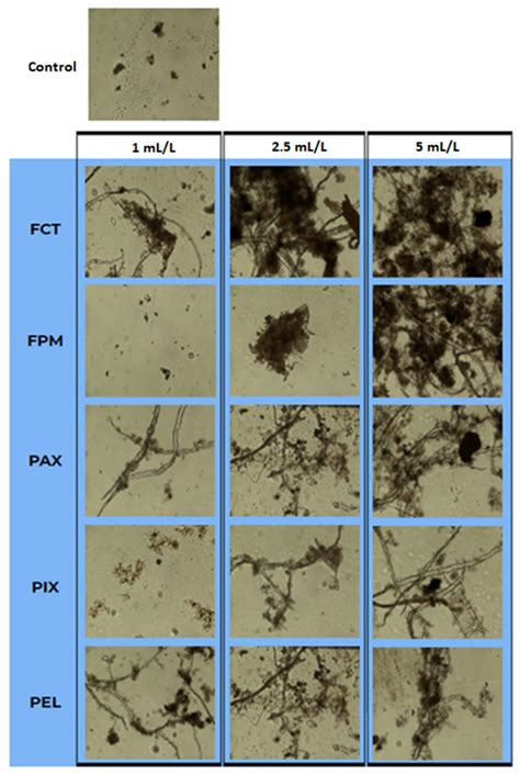 Coagulation and Flocculation before Primary Clarification as Efficient ...