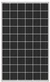 Image result for Monocrystalline Module