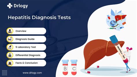 5 Best Reliable Hepatitis Test for Accurate Diagnosis | Drlogy