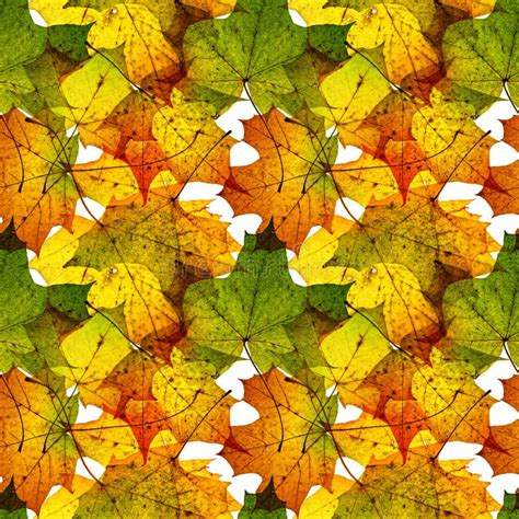 Image result for Fall Pattern Seamless Texture