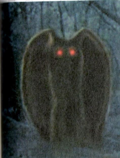 Mysterious Red-Eyed Creature 的图像结果